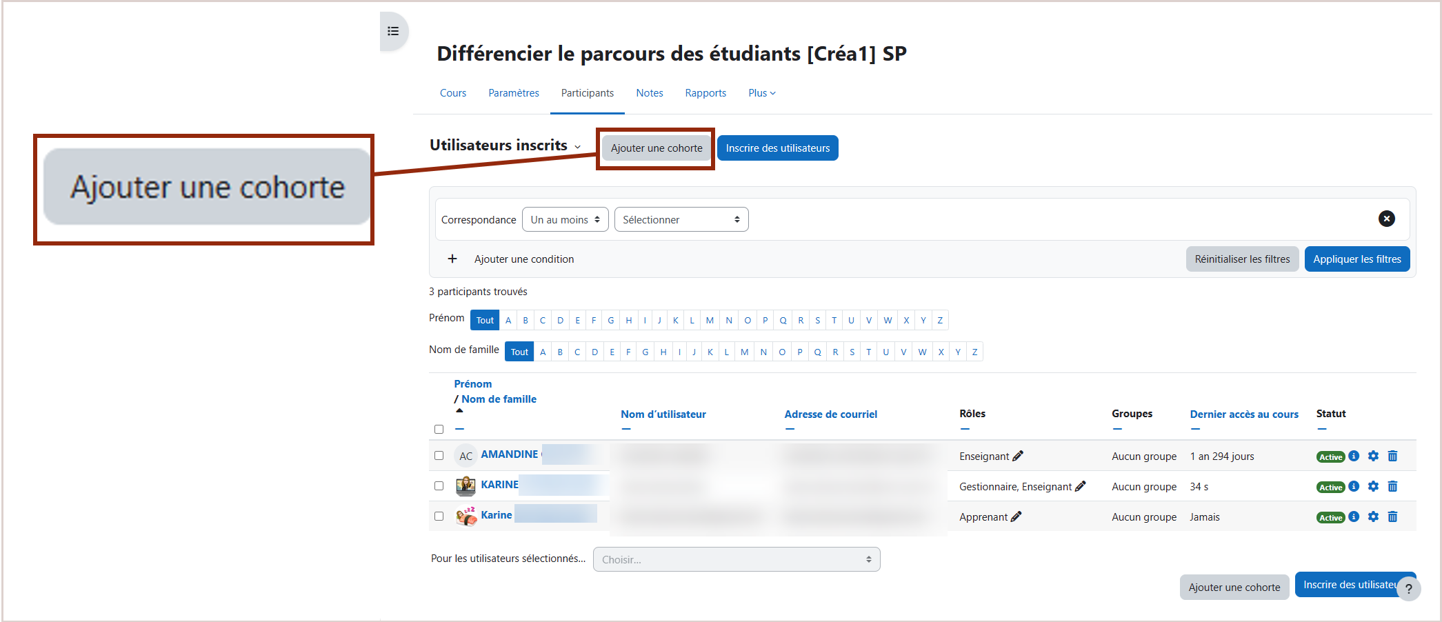 Sur la même ligne qu'utilisateurs inscrits, il y a deux boutons. Le premier est "Ajouter une cohorte". 