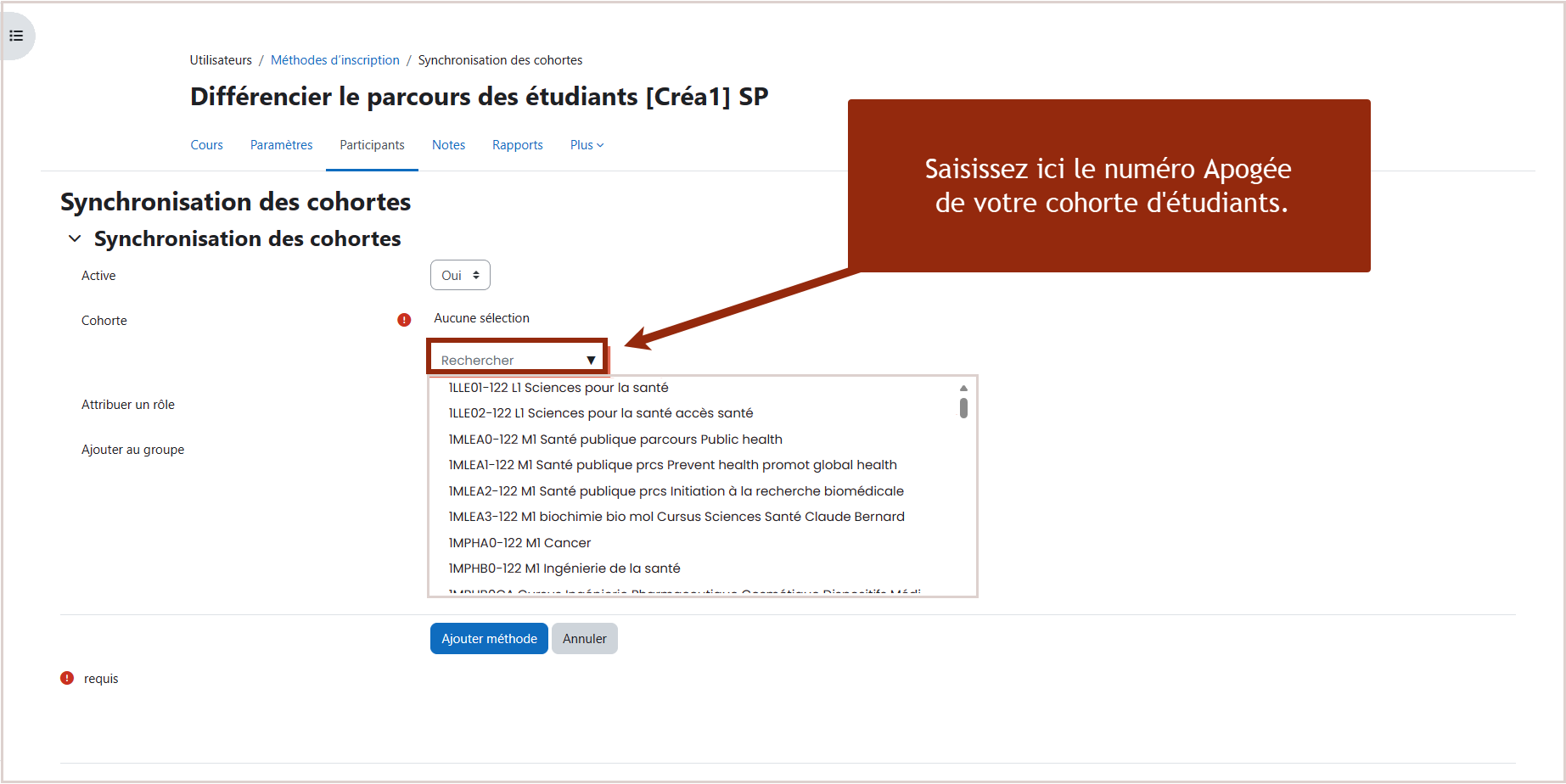 Sur la deuxième ligne, un moteur de recherche vous permet de saisir le code apogée et le retrouver dans la liste.